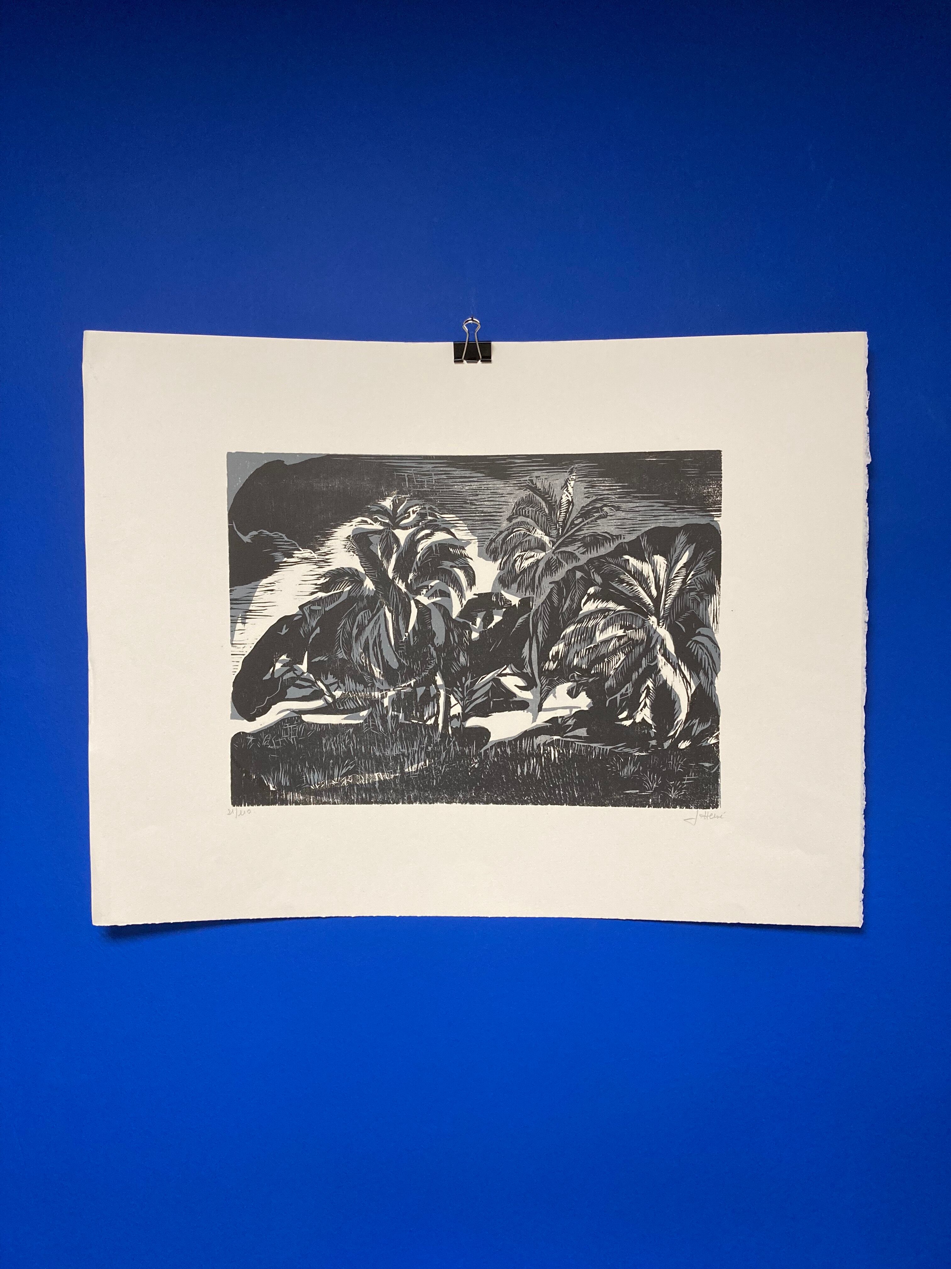 Illustration Le Bois des Cocotiers