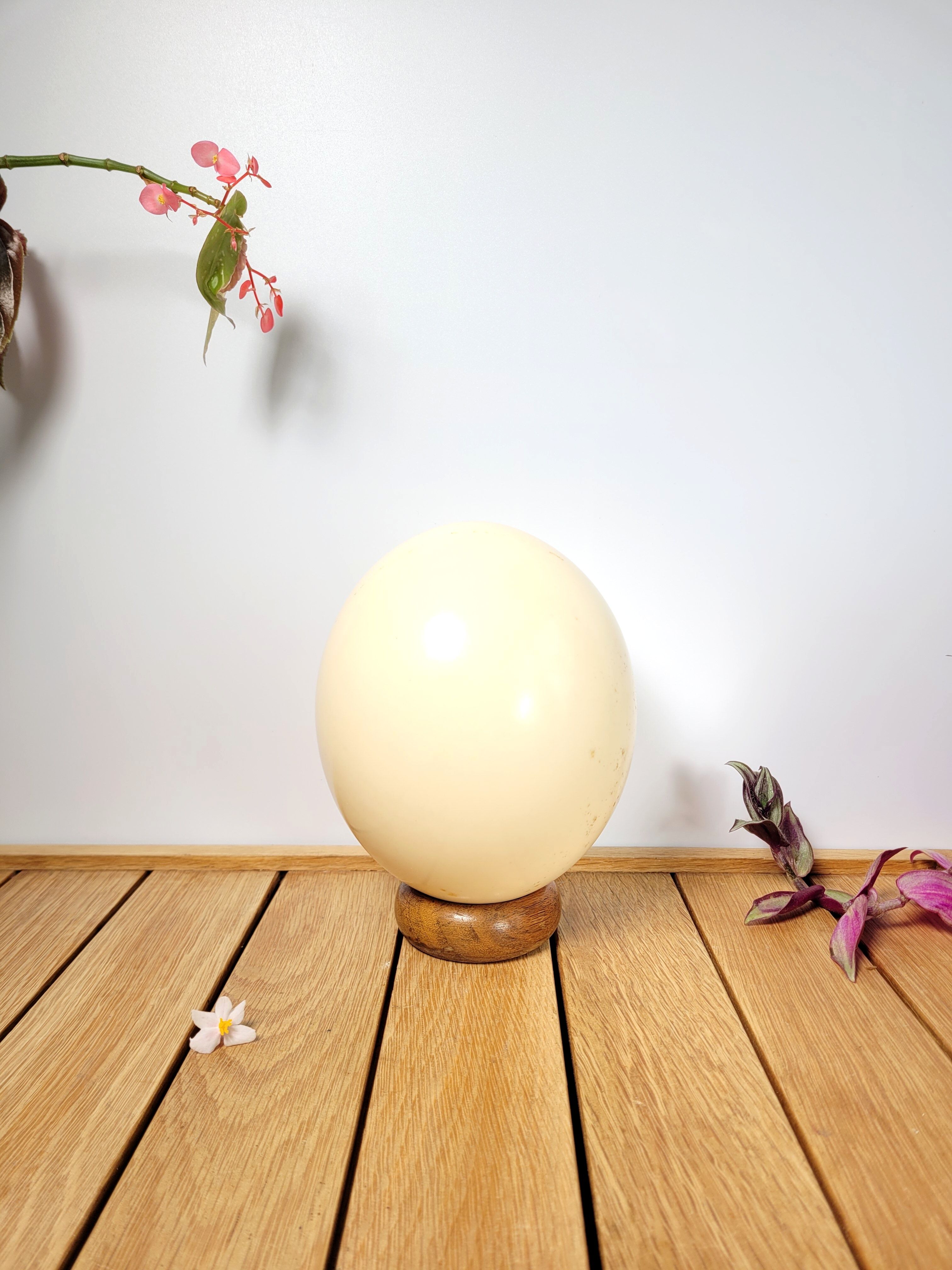 Ostrich egg on wooden base