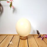 Ostrich egg on wooden base