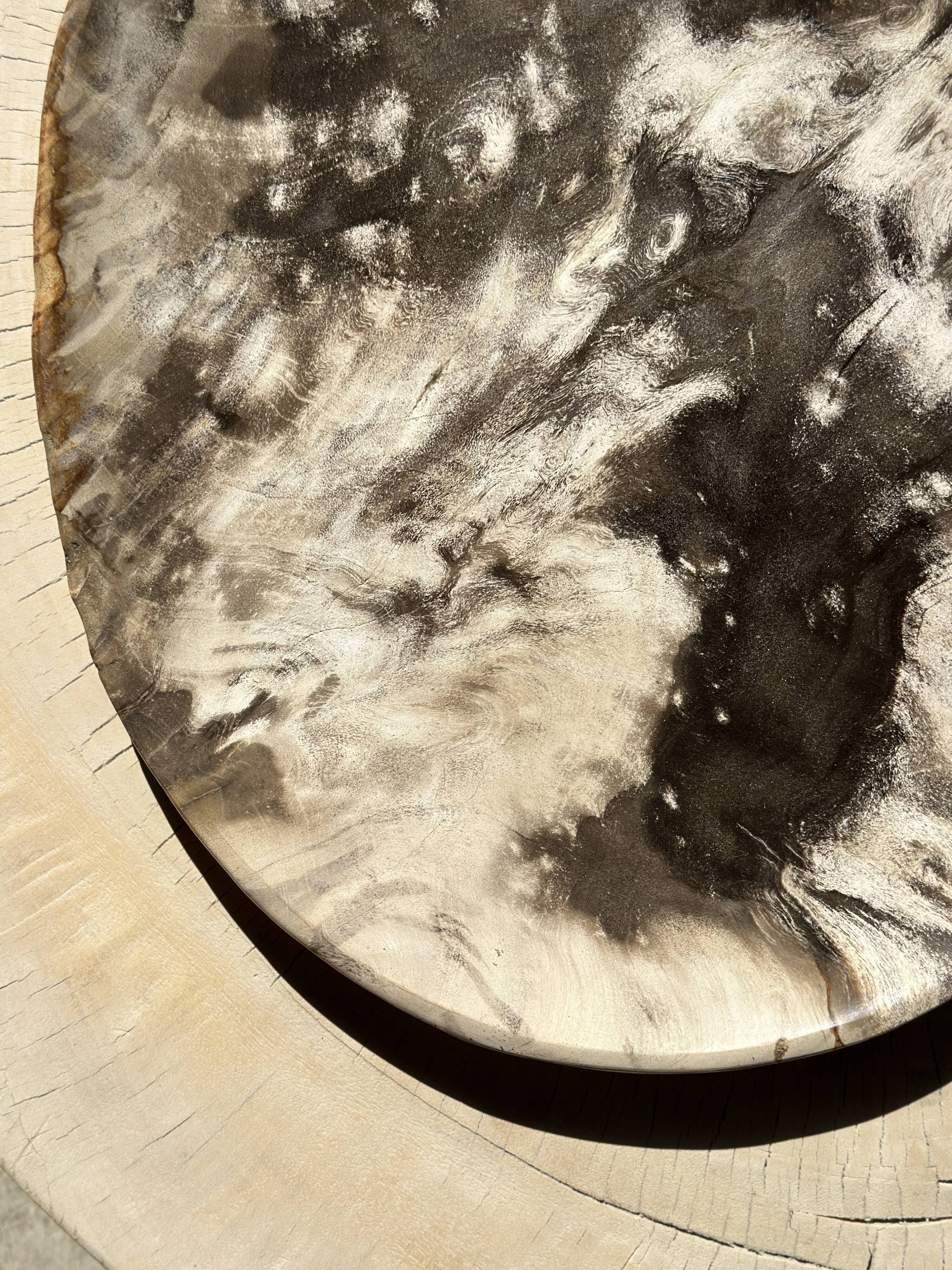 Very large empty pocket or petrified wooden flat