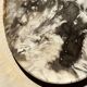 Very large empty pocket or petrified wooden flat