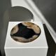 Empty pocket or dish in medium petrified wood