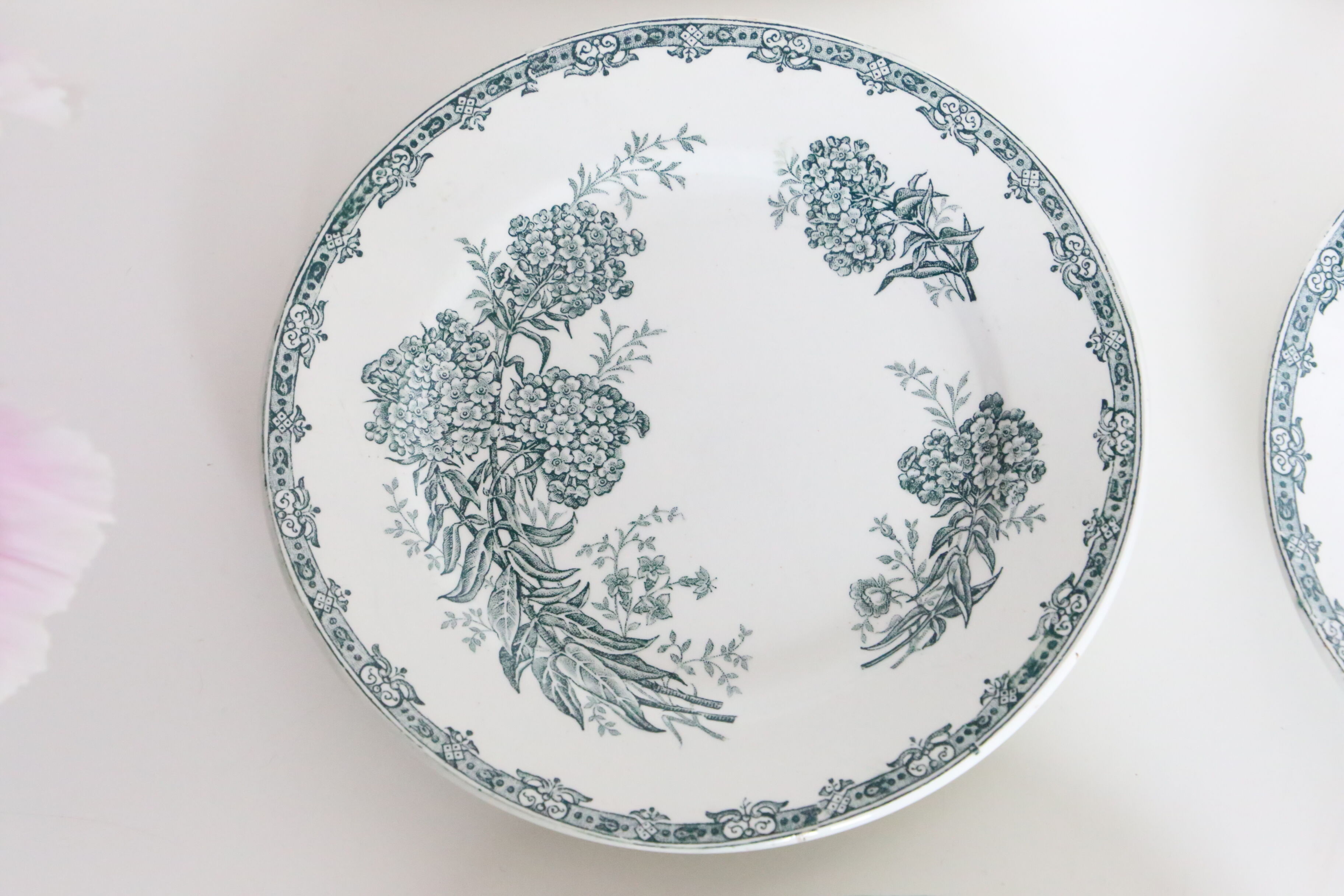 Set of 4 flat plates Terre de Fer, Saint Amand, Daisy