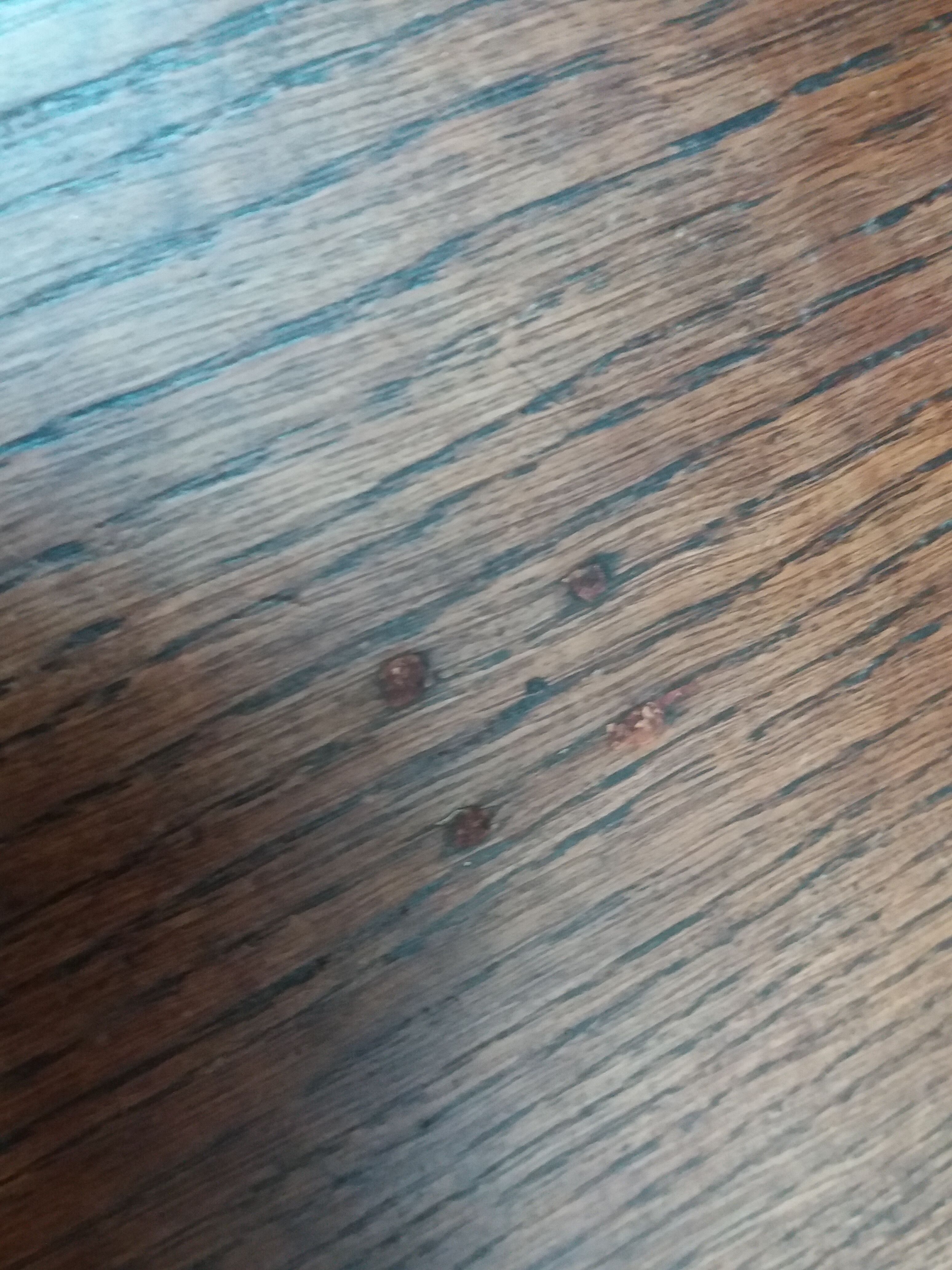 Tripod harness plant holder