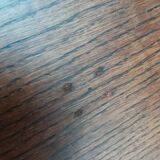 Tripod harness plant holder