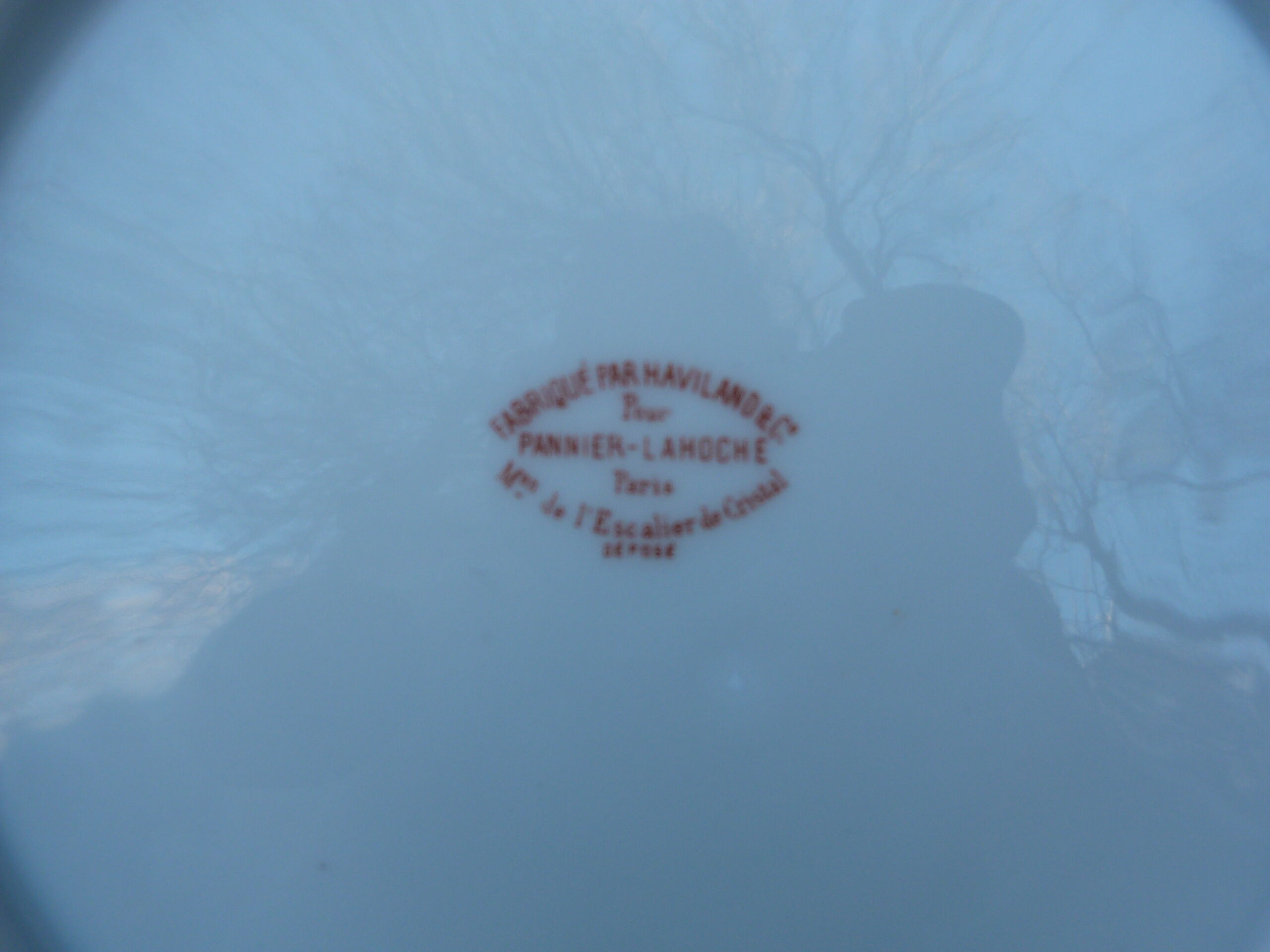 Set of 2 haviland plates for pannier lahoche l'escalier de cristal paris 1860