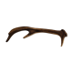 Deer antler