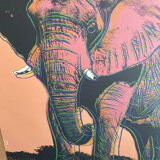 Screen printing Andy Warhol