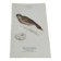 Gravure botanique planche naturaliste oiseau 1903