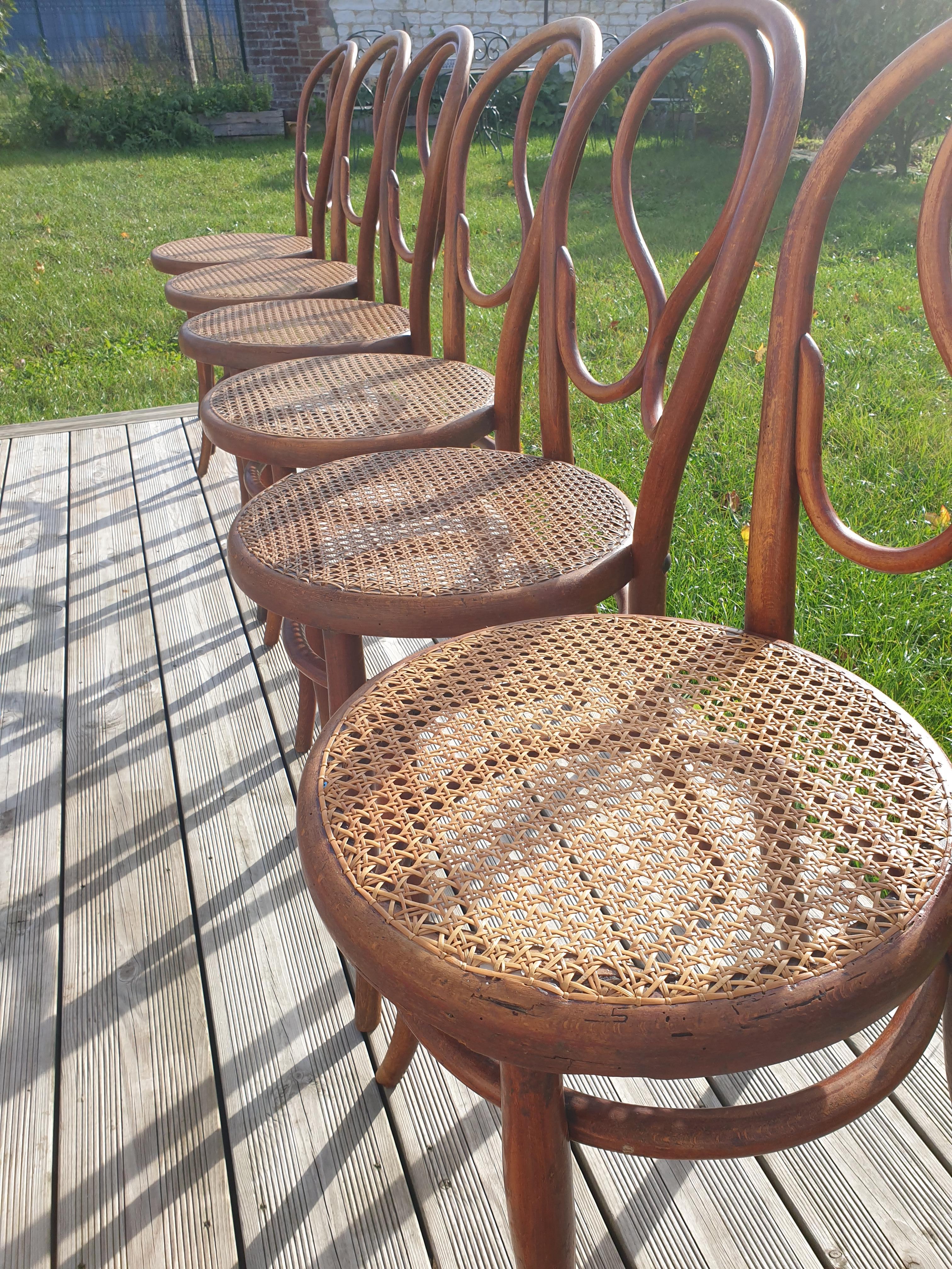 Série de 6 chaises Thonet N°20 Omega