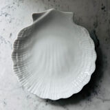 Porcelain shell plate