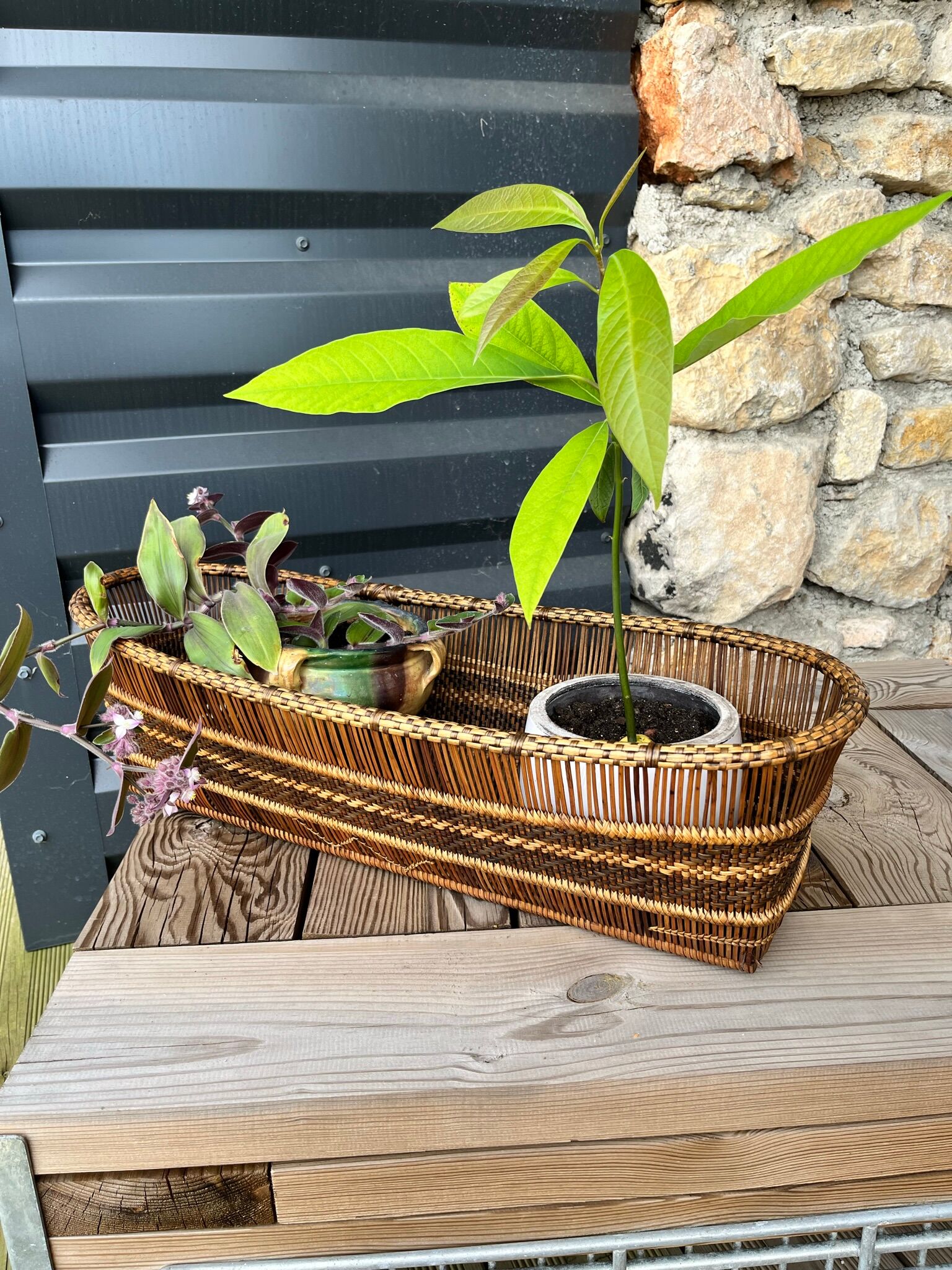 Pot cover in wicker and rattan