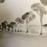 Painting signed monochrome watercolor “pine forest in Provence”