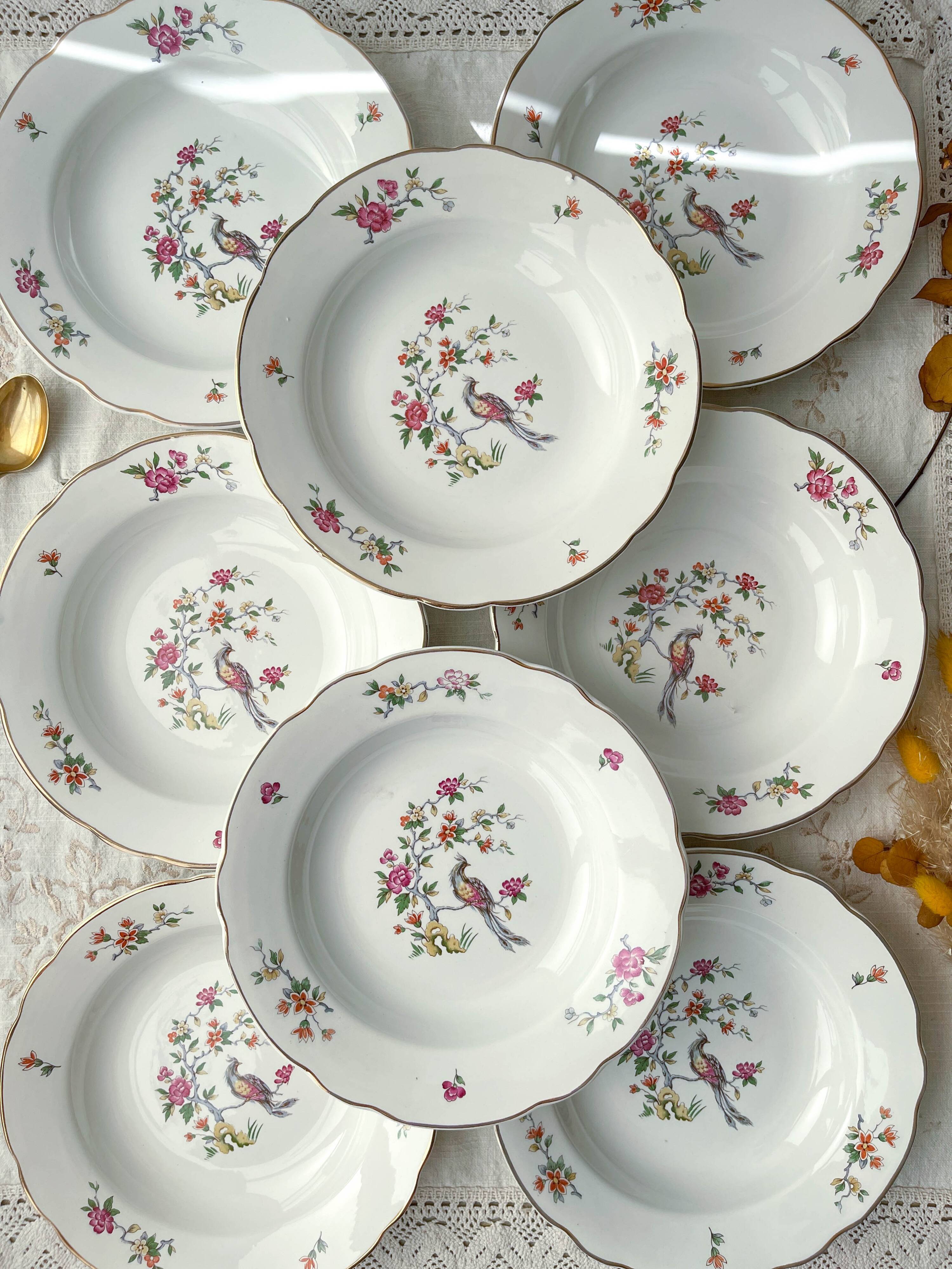 8 vintage porcelain soup plates digoin sarreguemines model conde bird of paradise pattern