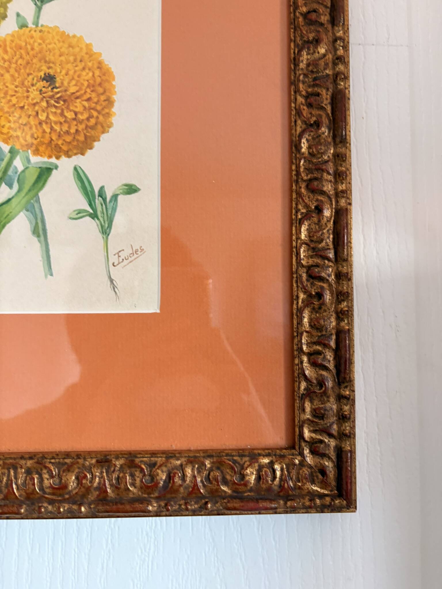 Watercolour Tableau Iconography Flowers Naturalism Rose Tagetes erecta nature