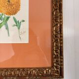 Watercolour Tableau Iconography Flowers Naturalism Rose Tagetes erecta nature