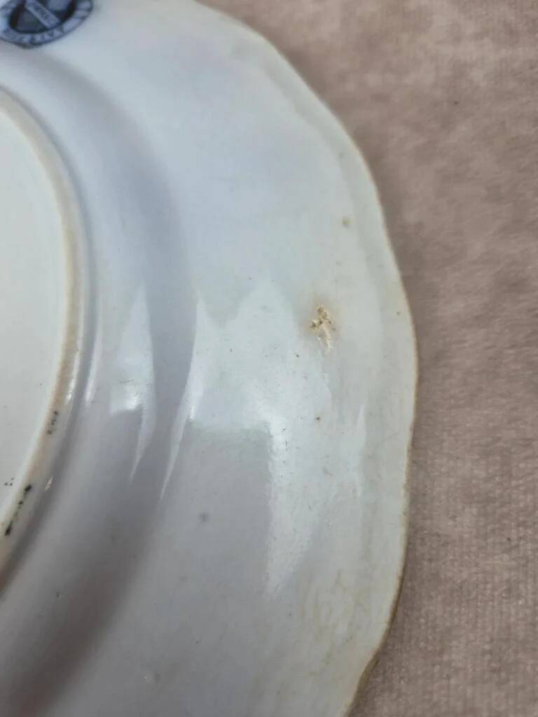 Antique English plate BWM & Co – Rose & Ivy pattern – registered 1868 – blue and black decoration.