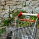 Caddie de supermarché pour enfant