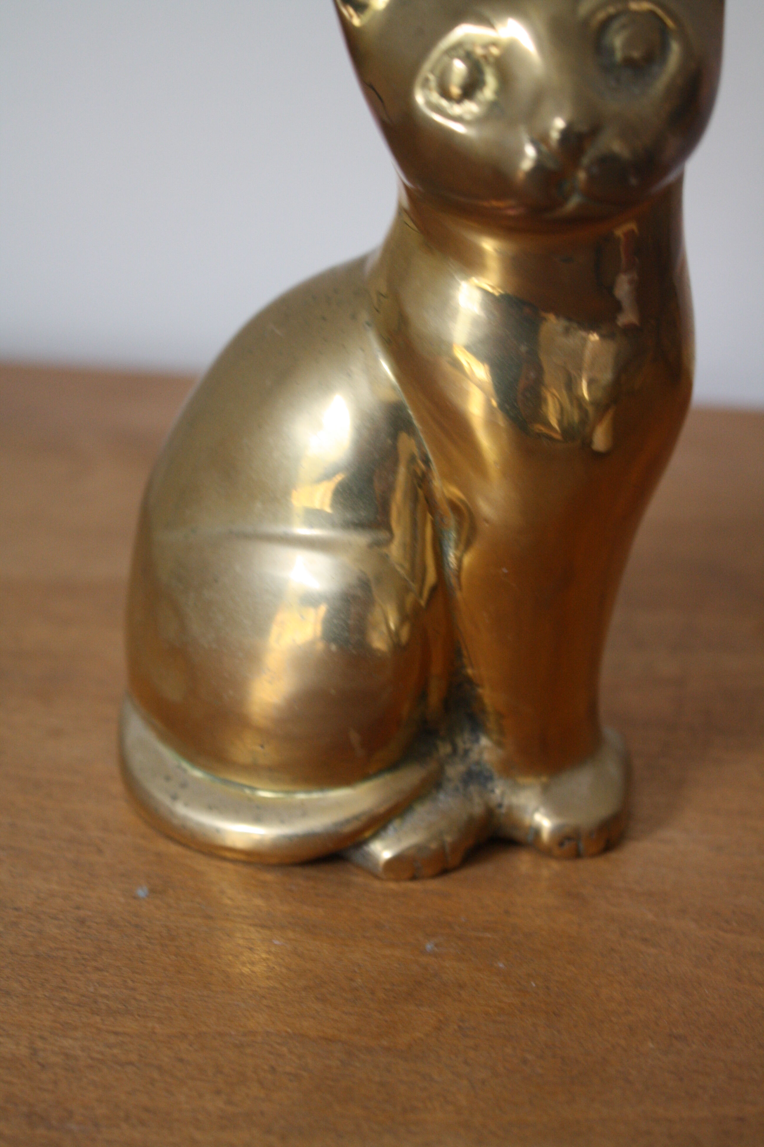 Cat sitting in brass