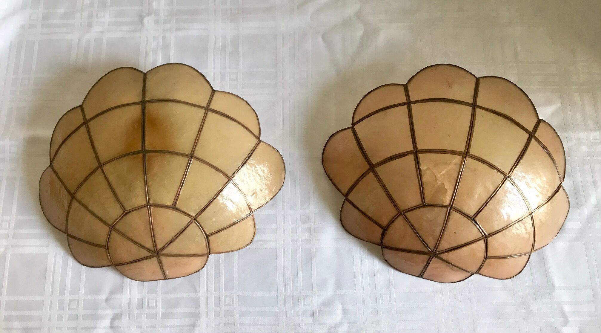 Pair of mother-of-pearl shell sconces