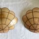 Pair of mother-of-pearl shell sconces