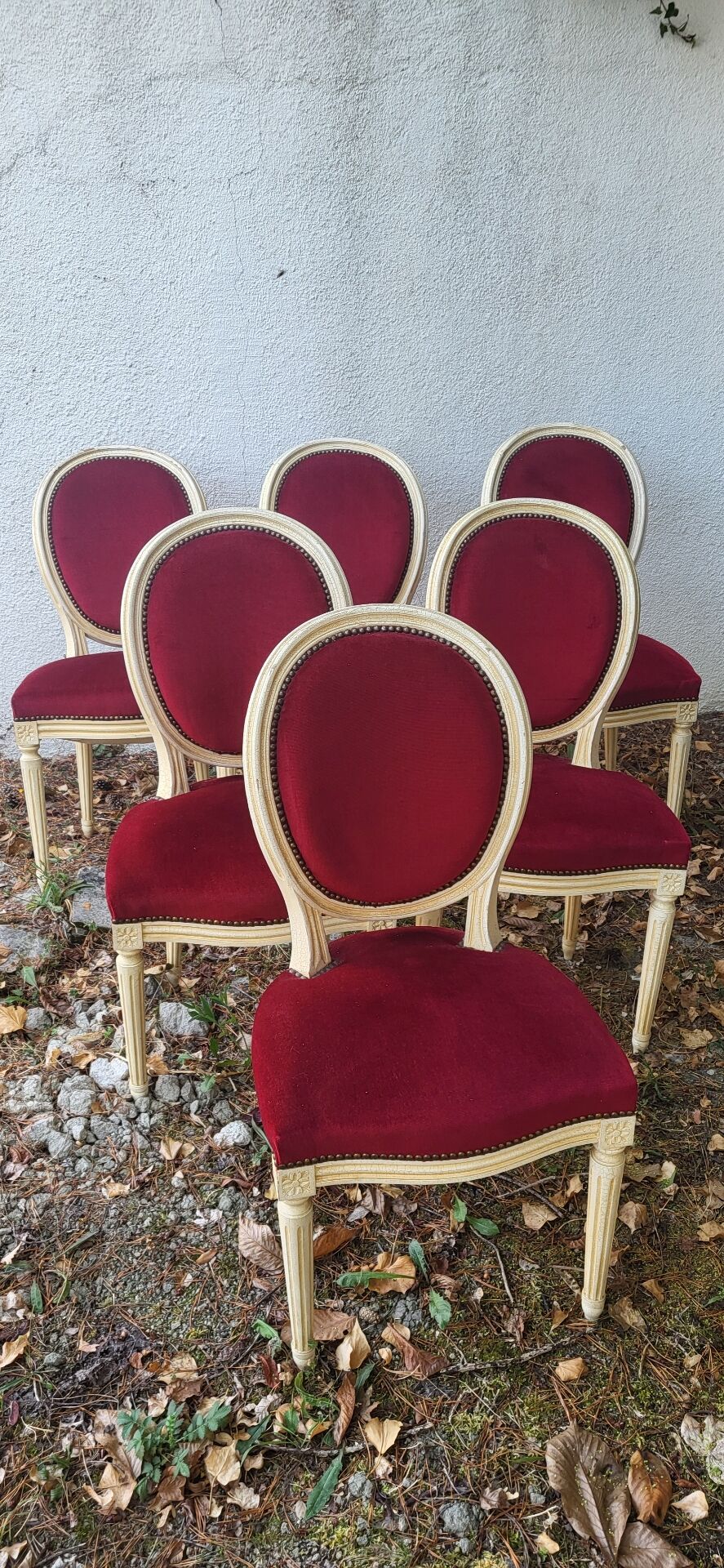 Velvet medallion chairs