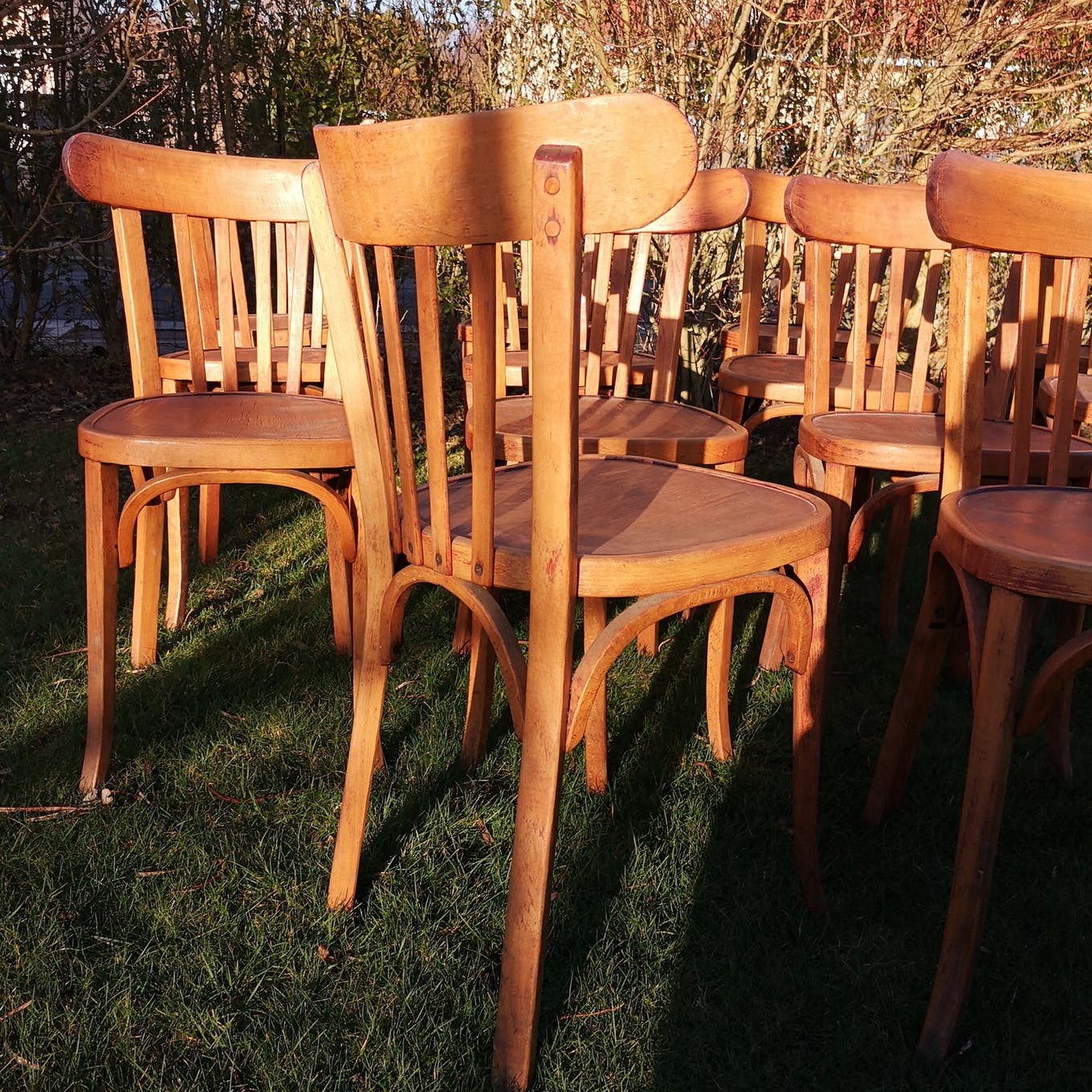 Set of 8 chairs Bistro Baumann