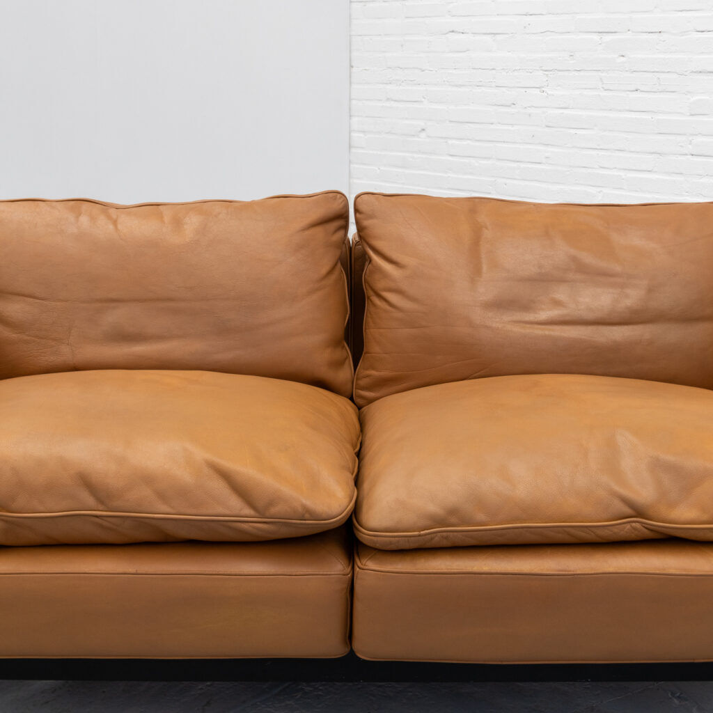 RH-302 two-seater sofa Haussmann De Sede