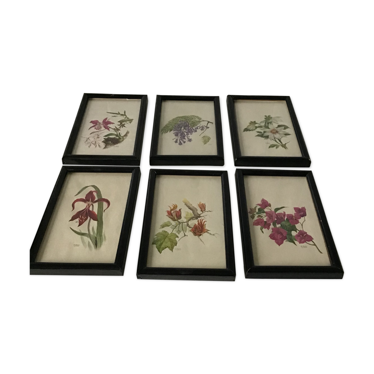Series of small black wooden frames with an antique engraving signed with fleus. Champetres