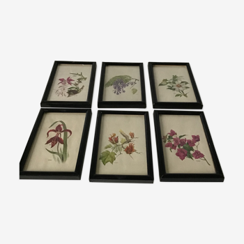 Series of small black wooden frames with an antique engraving signed with fleus. Champetres