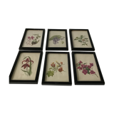Series of small black wooden frames with an antique engraving signed with fleus. Champetres