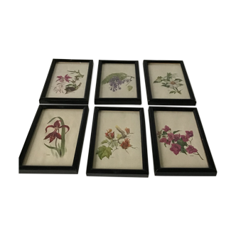Series of small black wooden frames with an antique engraving signed with fleus. Champetres