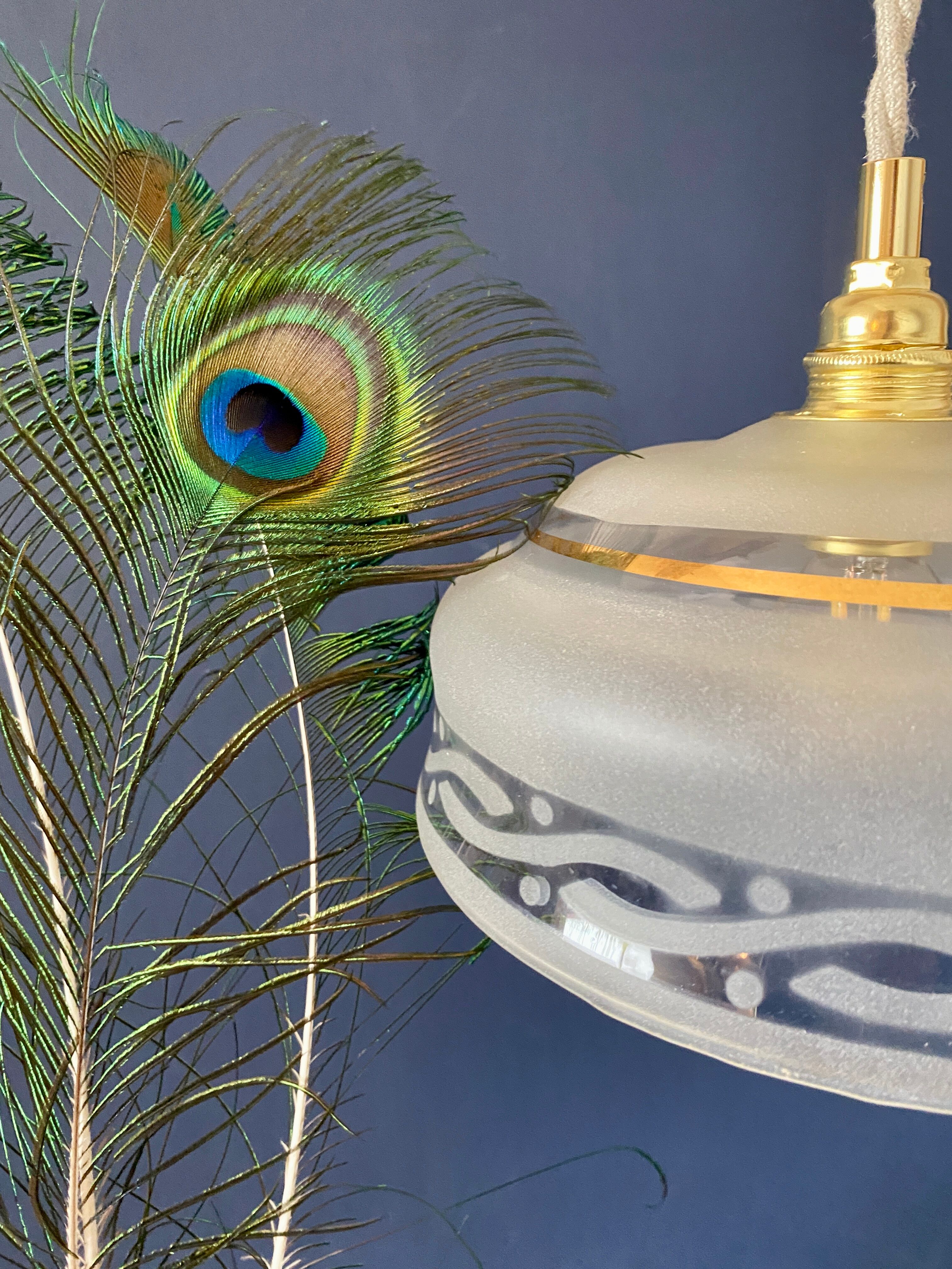 Vintage frosted glass lampshade pendant lamp