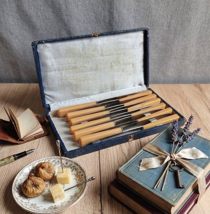 Coffret 12 couteaux de table vintage | Manches bakélite ivoire