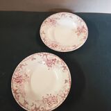 Assiettes creuses terre de fer