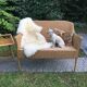Banquette en bambou, rotin & osier adulte vintage