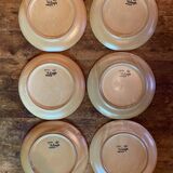 CNP stoneware plates
