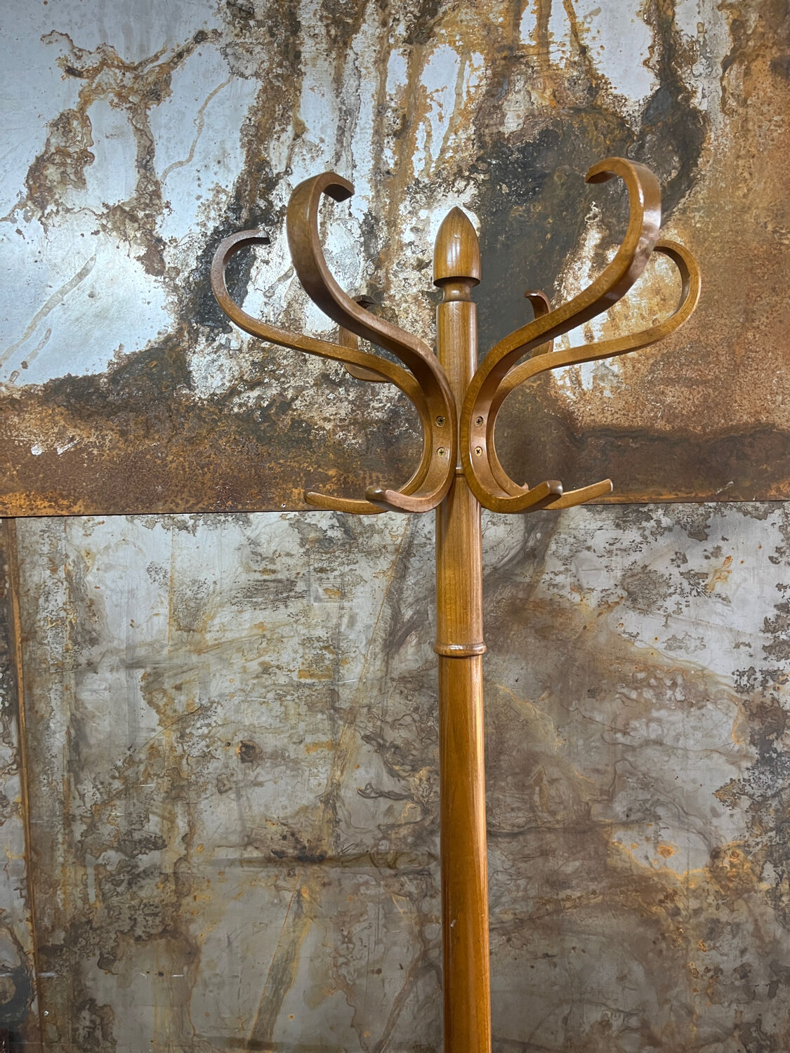 Porte manteau perroquet