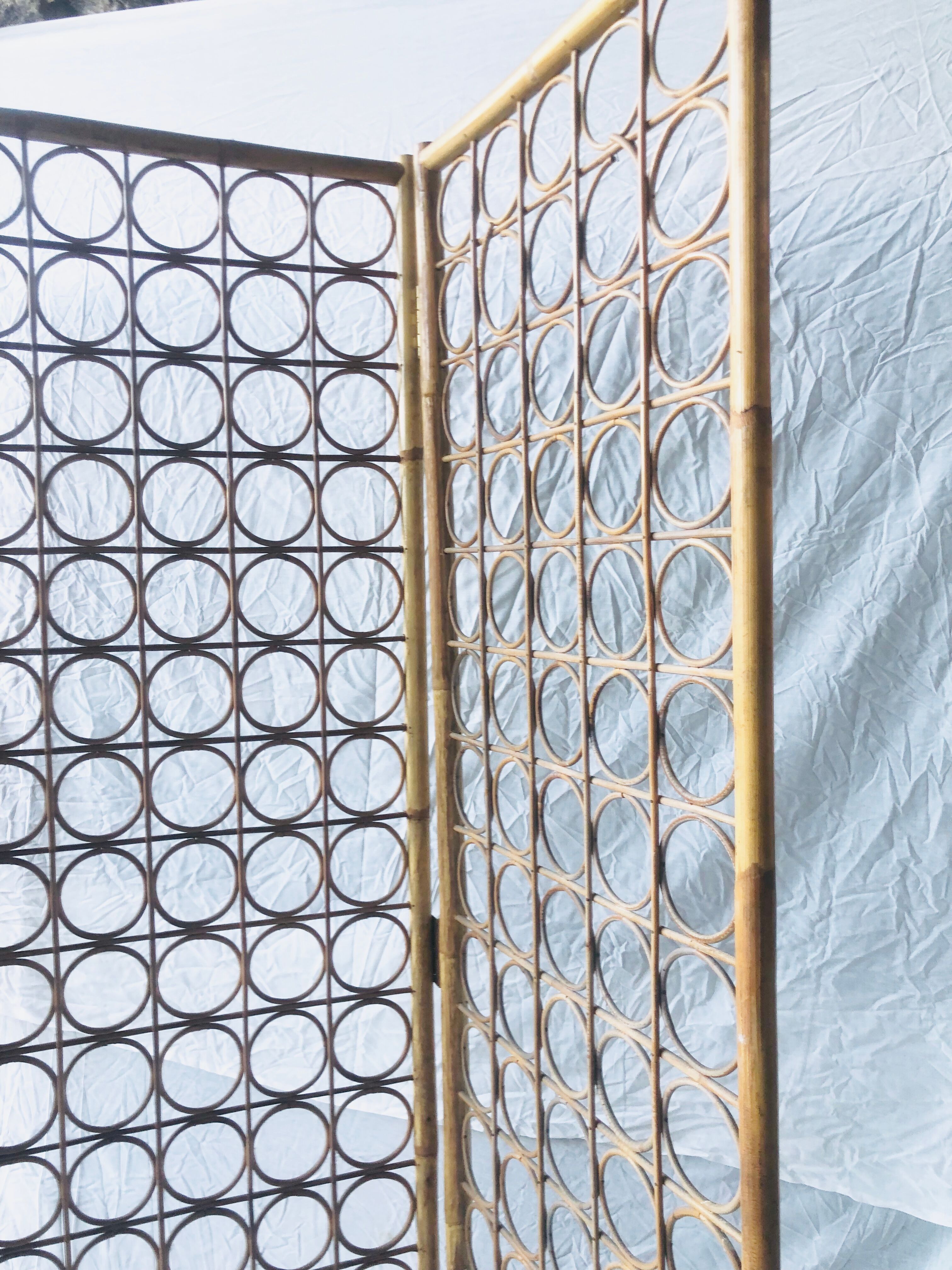 Rattan screen