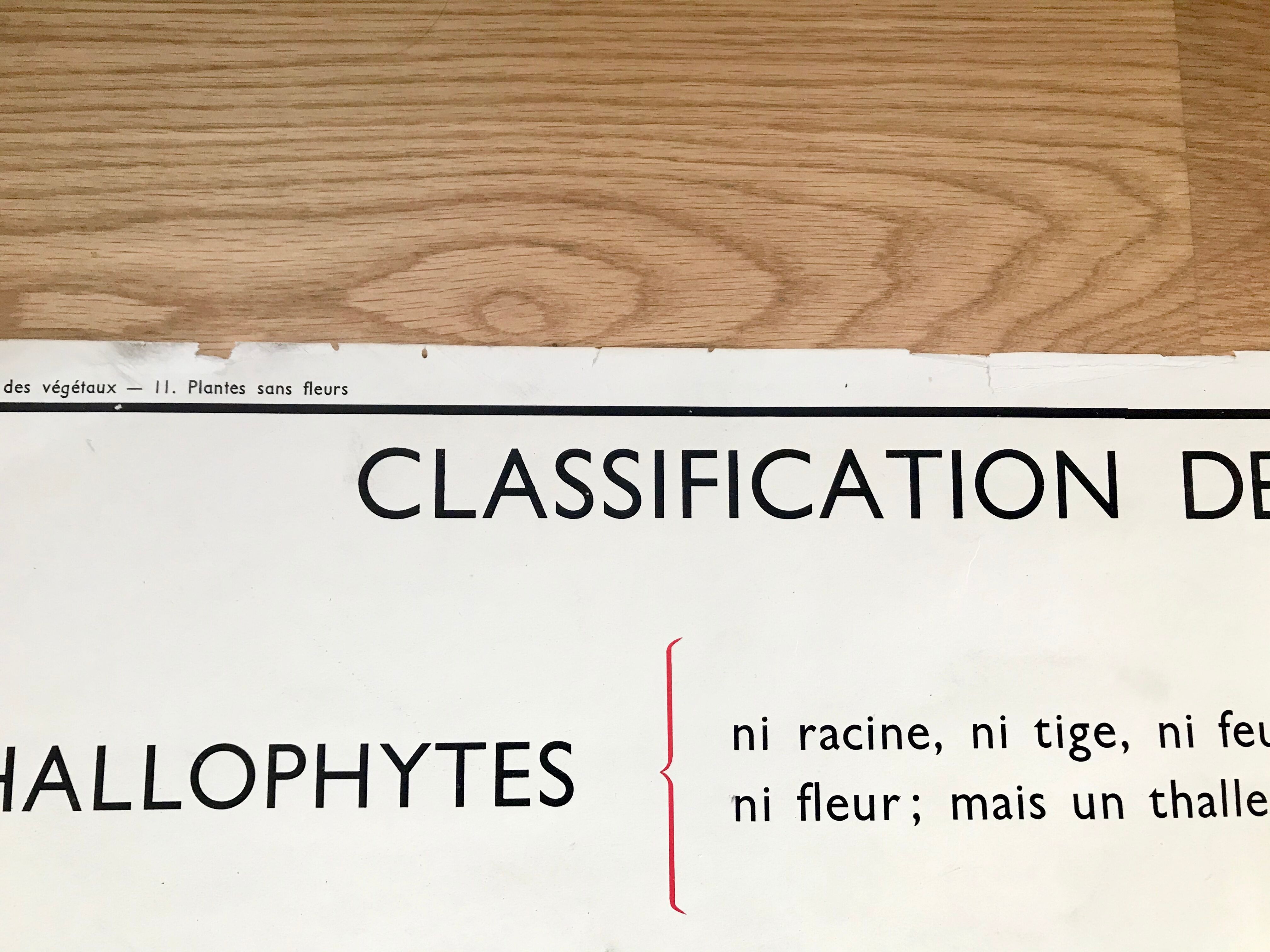 Rossignol pedagogical poster