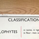 Rossignol pedagogical poster