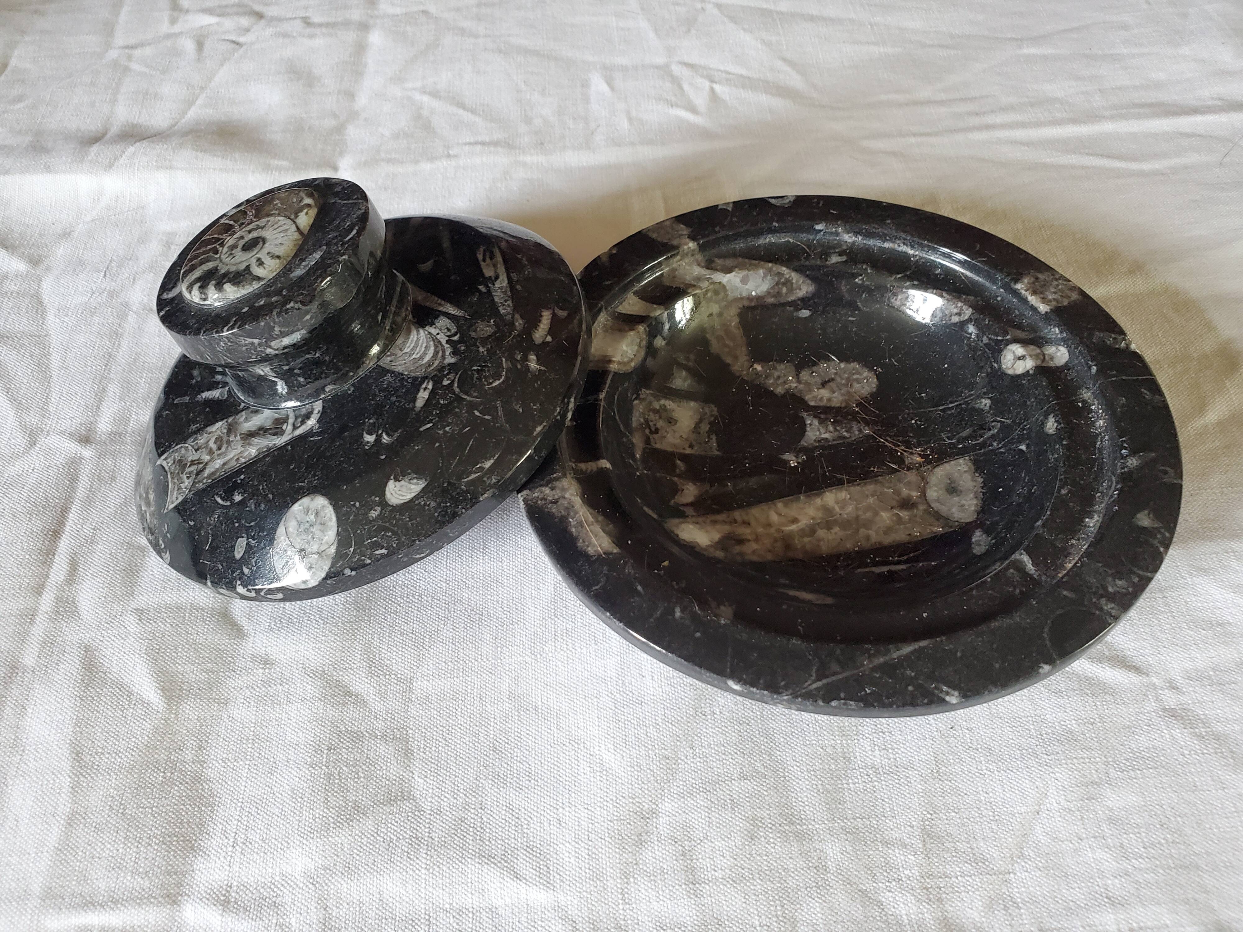 Fossilized marble box