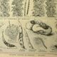 Antique engraving, 1921 - Beans by M. Dessertenne - vegetable garden plate