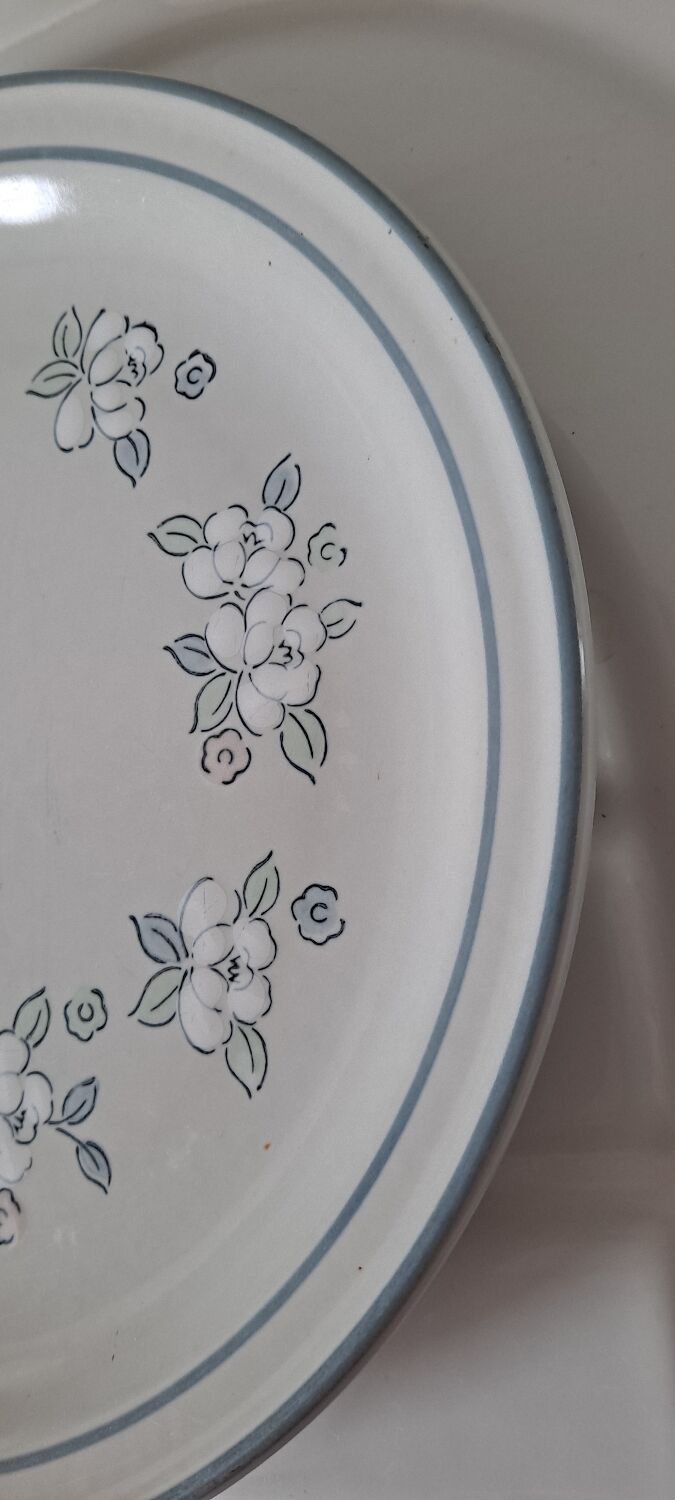 Hearthside stoneware plate