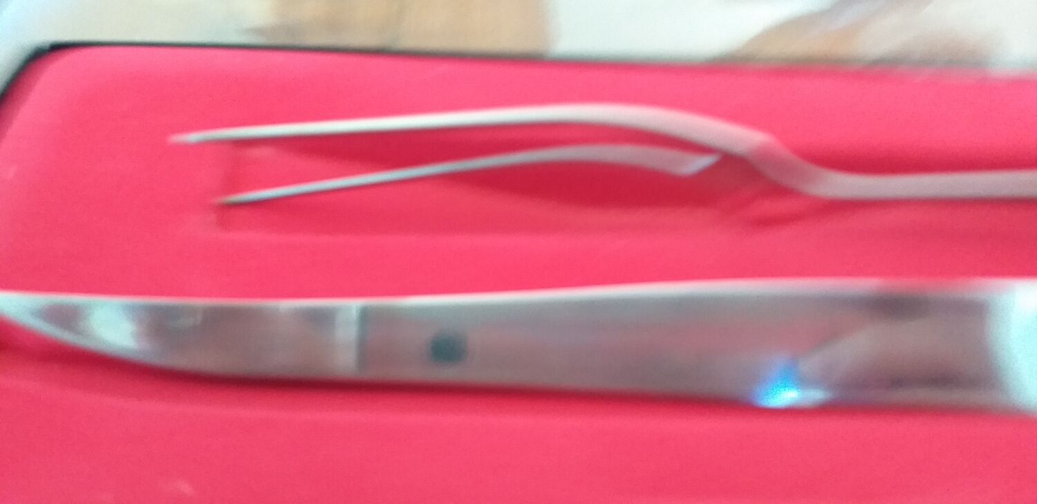 Laguiole cutting set