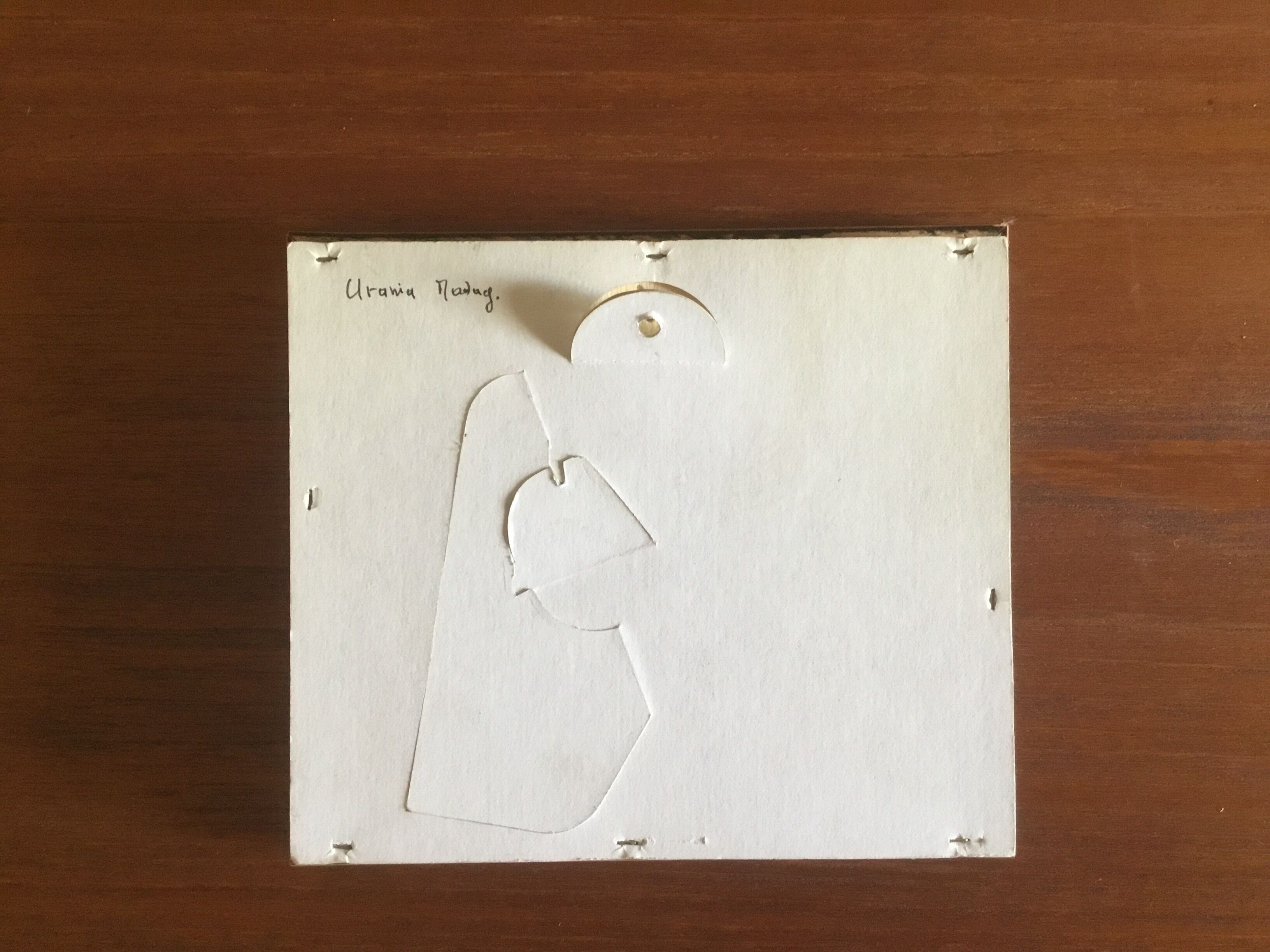 Frame butterfly urania