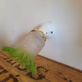 Tulip and porcelain wall lamp