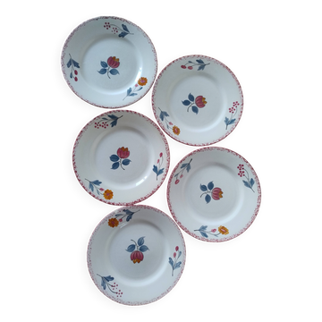 Set of 5 vintage dessert plates in earthenware from Salins - Molière model