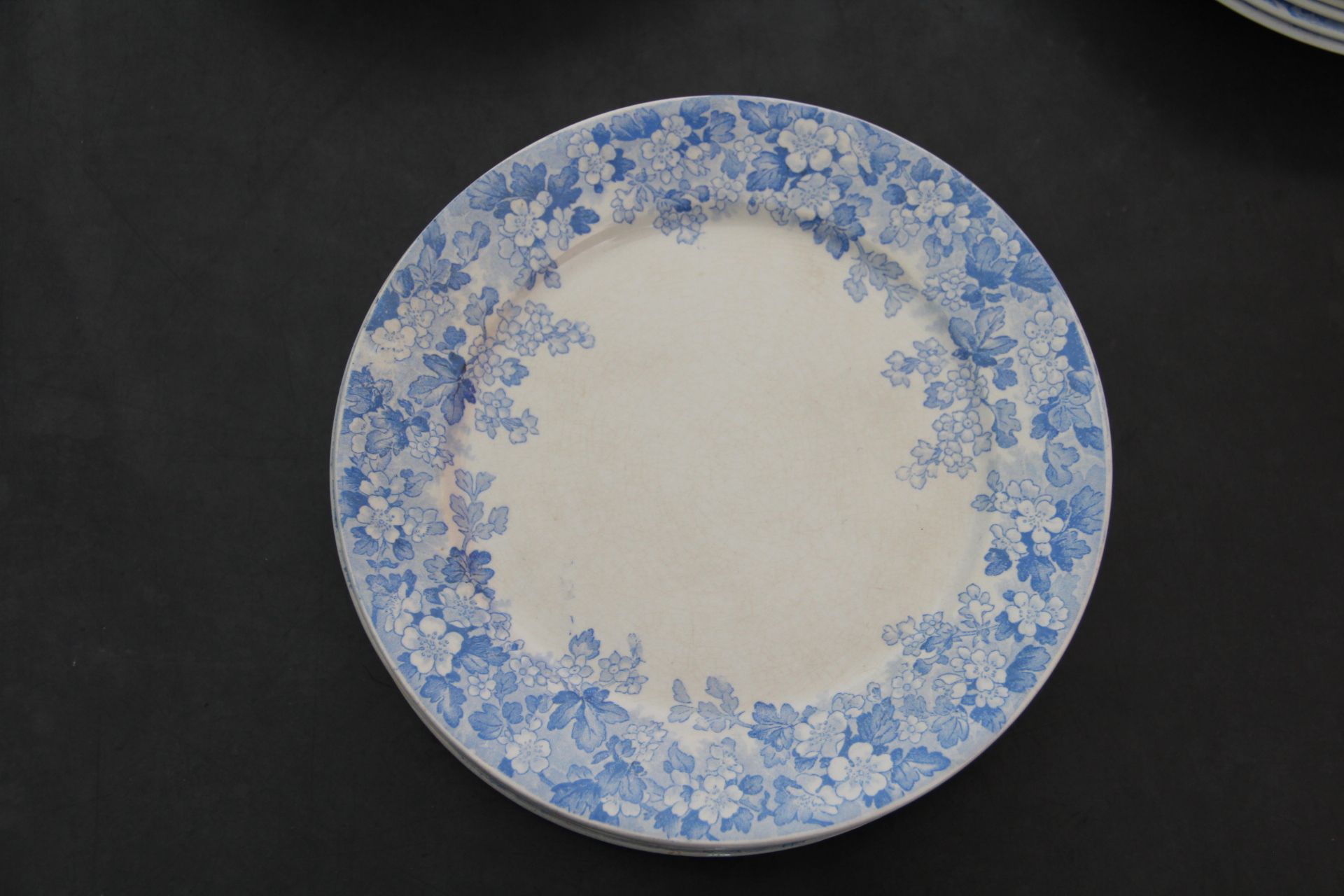 Rare plate service 6 people "Récamier" U&C Sarreguemines and Digoin late nineteenth °