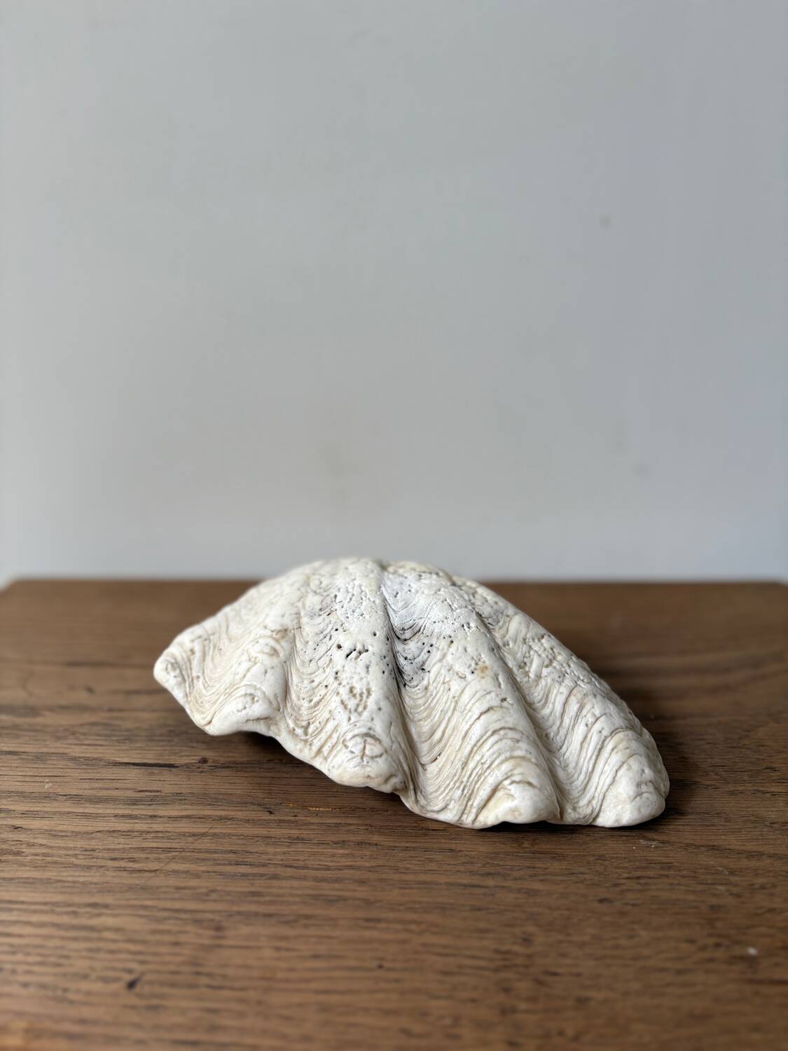 Vintage clam shell